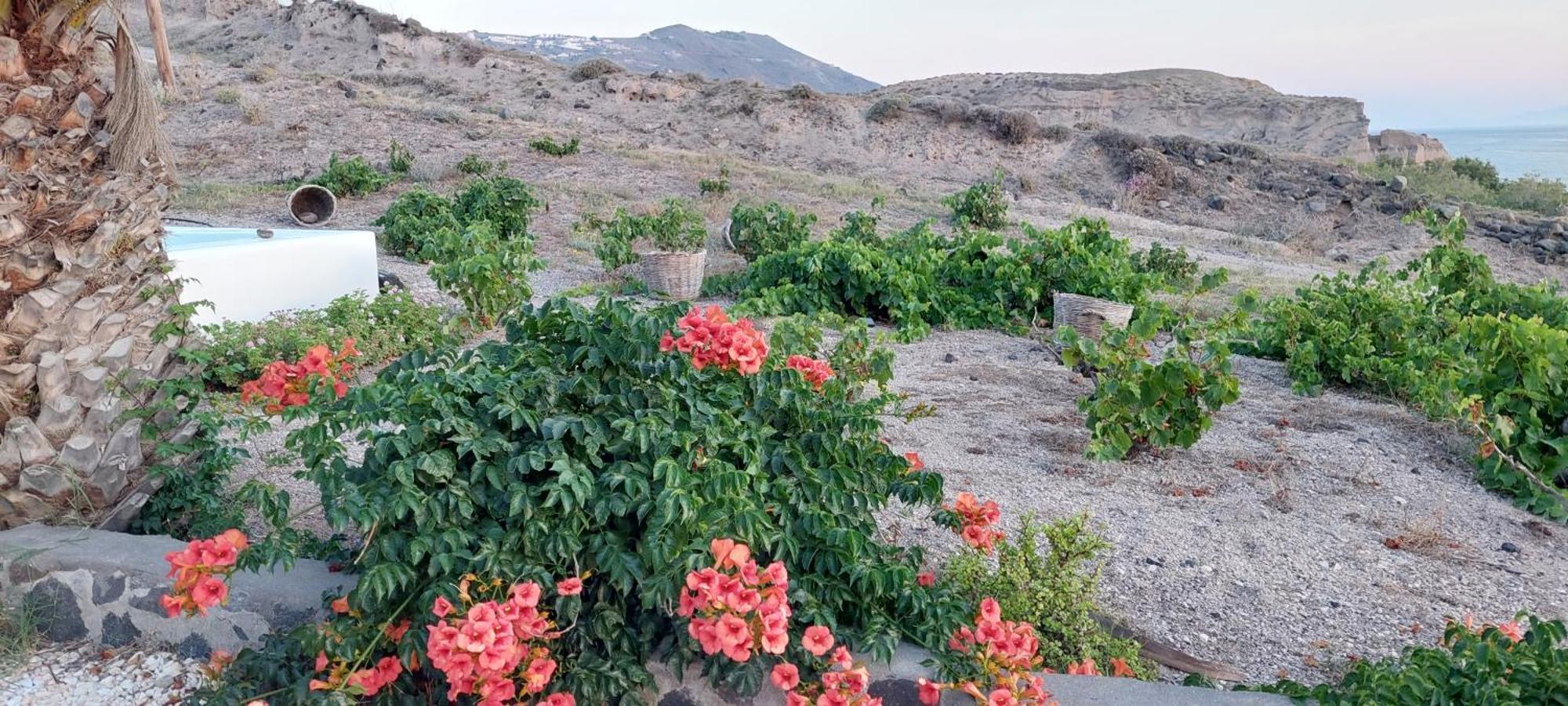 Peaceful Seafront Retreat In Santorini -sonus Mare Σπίτι διακοπών